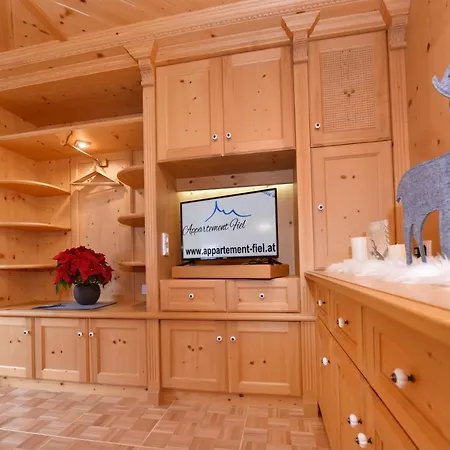 Fiel Appartement Sankt Gallenkirch